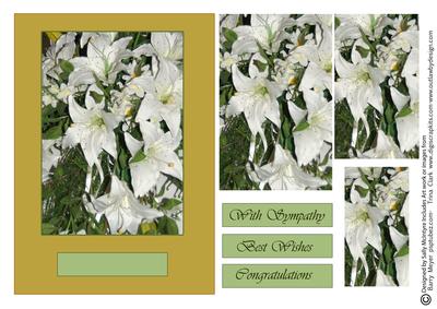 White Lilies with Sympathy Best Wishes Congratulations