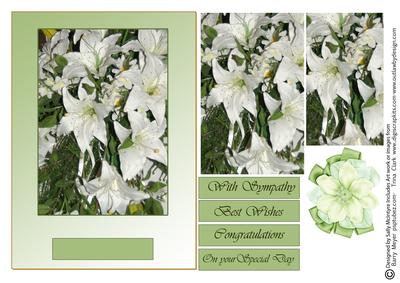 White Lilies on Your Special Day Sympathy Best Wishes Cong