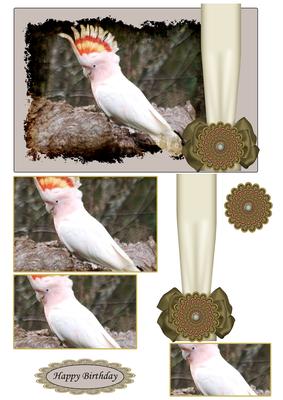 Cockatoo Creatures Happy Birthday