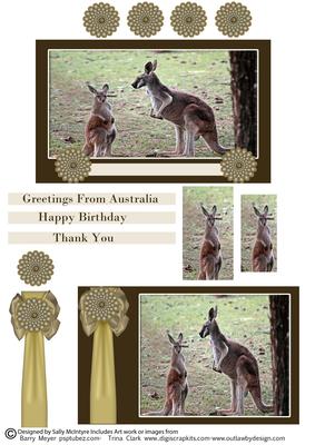 The Australian Kangaroo Happy Birthday Thank You Greetings F
