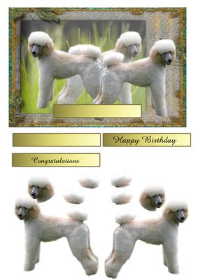 Poodles Humans in a Fluffy Body