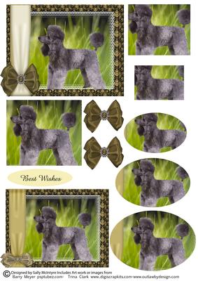 Duo Poodle Card Best Wishes