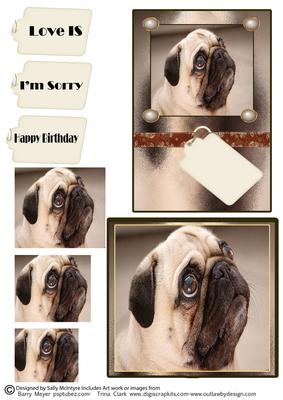 Pug Dogs Rule Pyramid and Topper Happy Birthday Im Sorry Lov