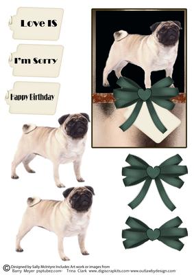 Pug Dog So Cute