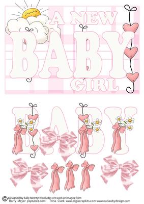 A New Baby Girl