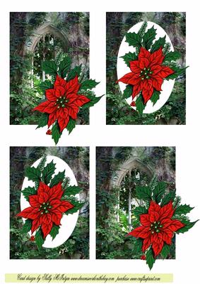 Old Window and Christmas Flower