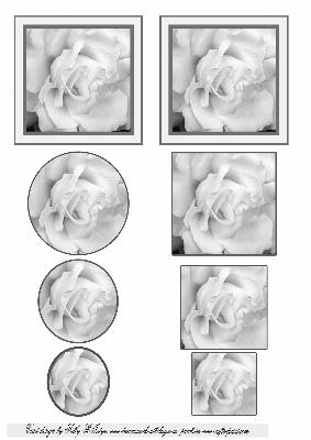 Black and White Rose 2 Card Sheet