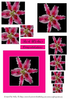 Lily in Pink and Black 2 Card Sheet