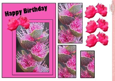 Happy Birthday in Hot Pink