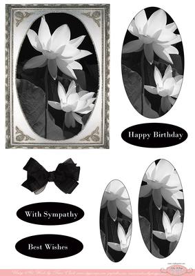 Black and White Revival Birthday Sympathy
