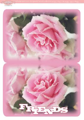Print and Fold Card Friends