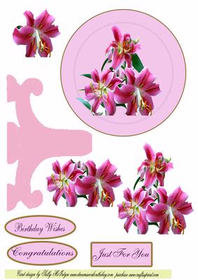 Lily Plate in Pink