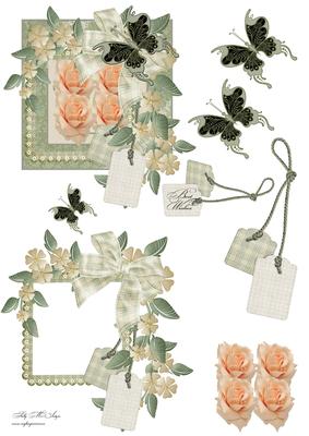 Rose Beauty Step by Step with Butterflies