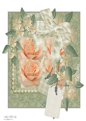 A4 Rose Beauty for Many Occasions