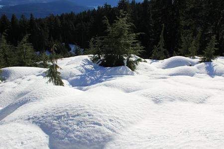 Snow Time Beauty