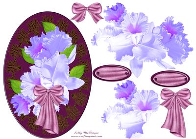 Orchidacea Beauty