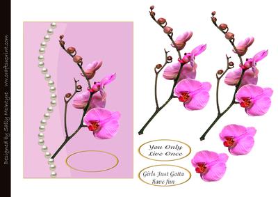 Singapore Orchids and Pearls Girls Just Wanna Have Fun