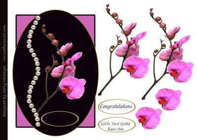 Hot Pink & Blacksingapore Orchids and Pearls