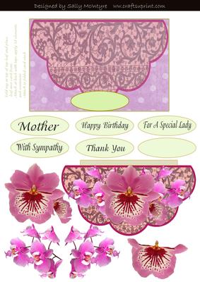 In the Pink Shell Half Circle Orchids and Lace One for the L
