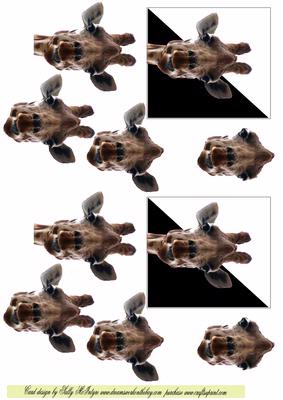 Look a Giraffe Miniature Series