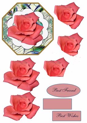 Apricot Rose Best Friend