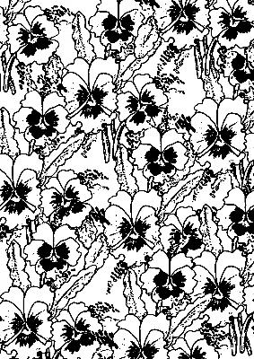 Digital Stamp Image Pansy Back Ground