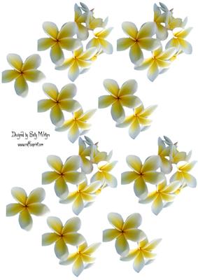 Frangipanni or Plumeria for 3D Accent on Your Card