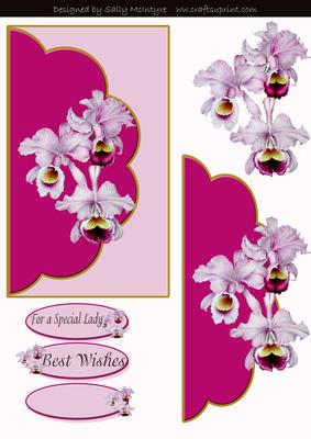 For a Special Lady Best Wishes Envelope Card