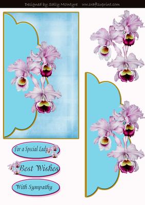 With Sympathy for a Special Lady Best Wishes