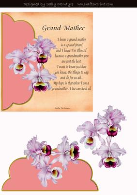 Grandmother Special Friend Poem