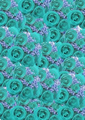 Aqua Roses and White Babys Breath Background