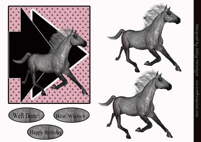 For the Horse Lovers