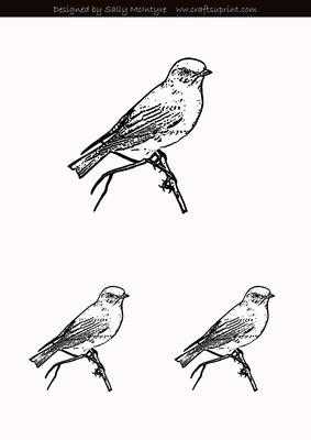Bird on a Branch Digital Stamp
