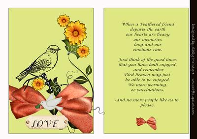 Death of Bird Poem for a Friend