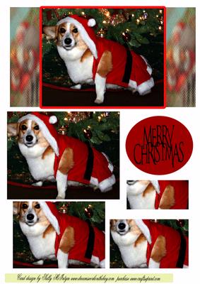 Mans Best Friend at Christmas