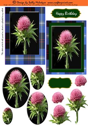 Tartan in Blue 2 Card Sheet Step by Step and Pyramid