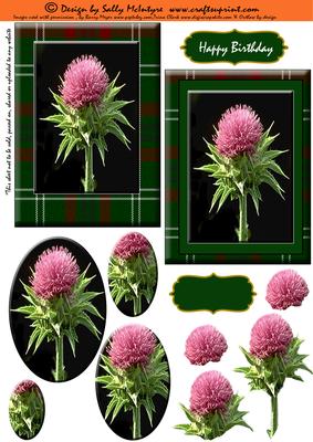 Tartan in Green 2 Card Sheet Step by Step and Pyramid