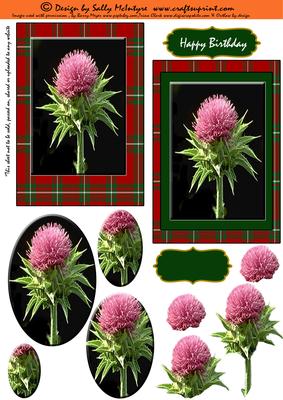 Tartan in Red 2 Card Sheet Step by Step and Pyramid