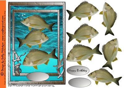 Fish of the Sea