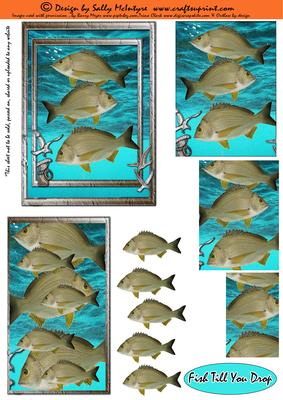 Fish Till You Drop