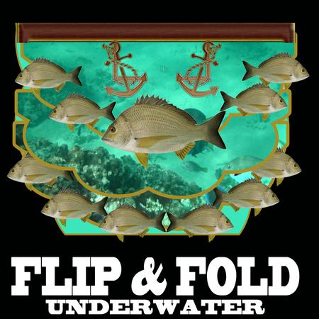 Fold and Flip Underwater Fishes Multiple Uses for This Card