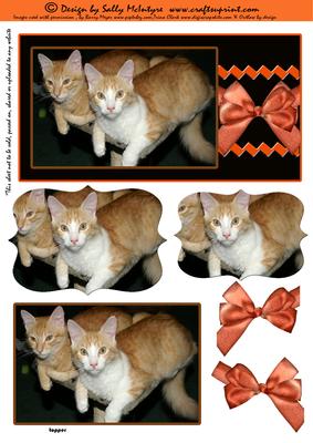 Our 2 Cats Pyramid and Topper