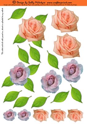 Just 3D Flowers Roses