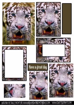 Jungle Mania 2 Card Sheet
