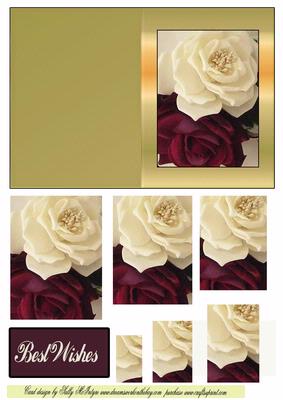 Roses for a Special Person-