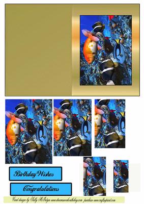 Tropical Fishery
