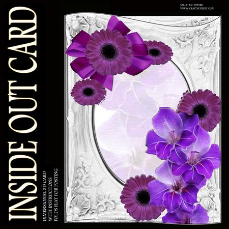 Inside Out Card Iris and Gerbera Silver Frame