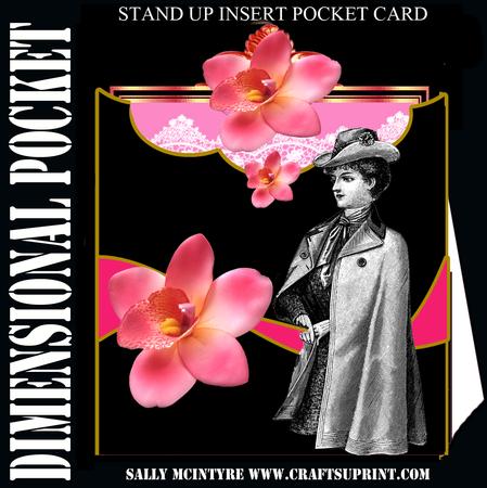 Vintage Lady Pocket Insert Fold Card