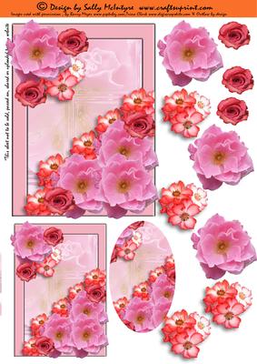 Perfect in Pink Roses