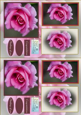Pretty Pink Miniature Series